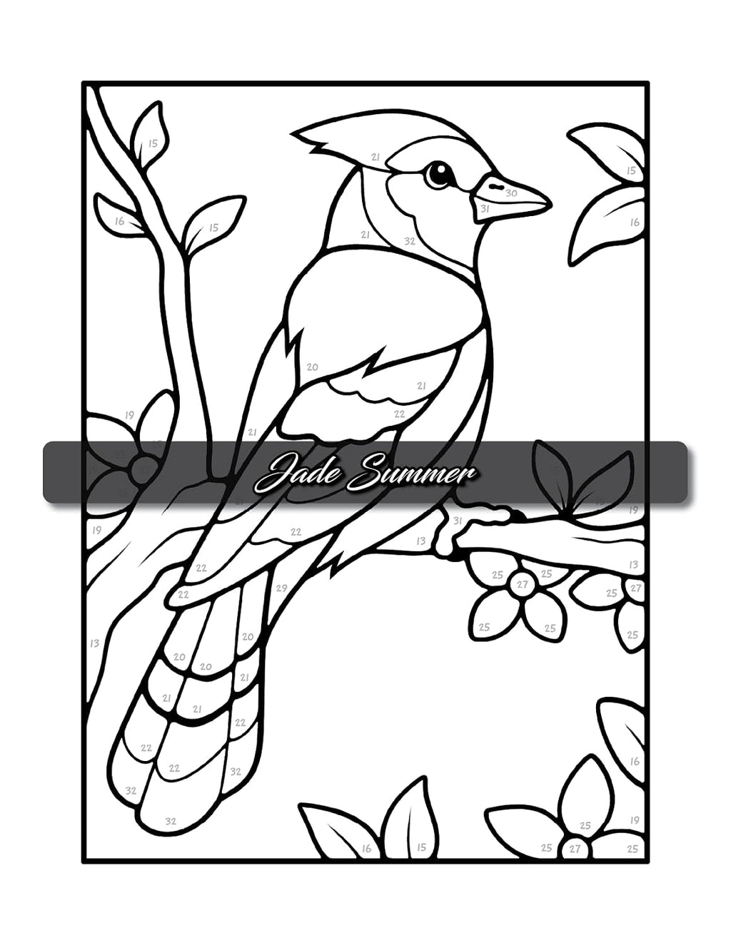 Simple Color by Number: a Coloring Book with Easy, Bold, and Large Print Designs for Adults, Teens, Seniors, and Beginners
