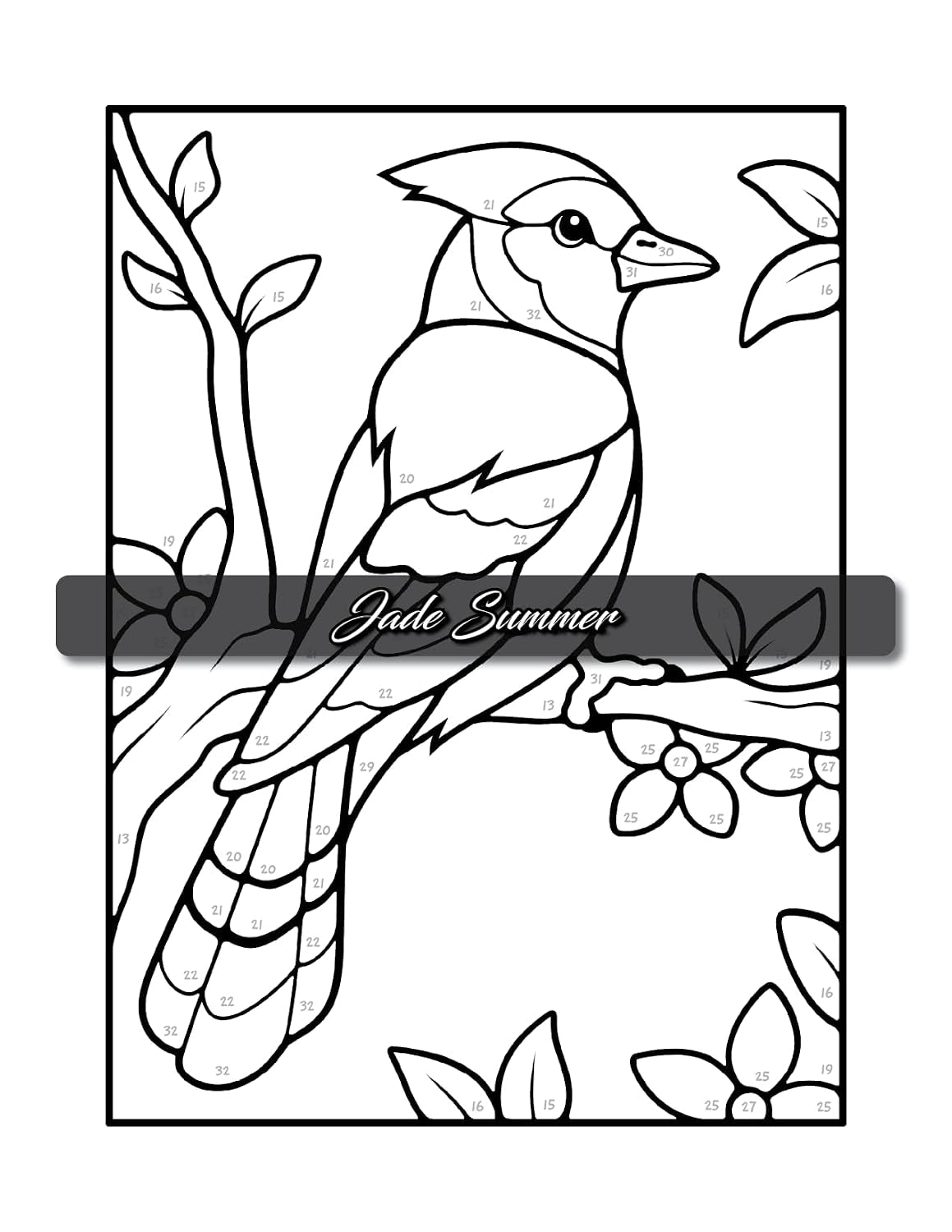 Simple Color by Number: a Coloring Book with Easy, Bold, and Large Print Designs for Adults, Teens, Seniors, and Beginners