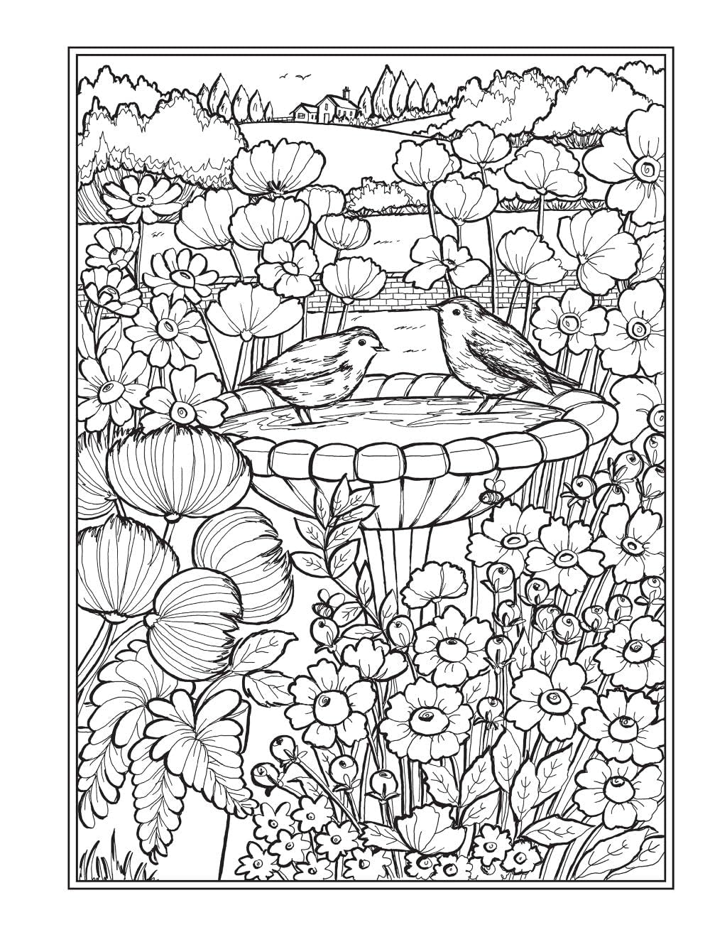 Creative Haven Country Gardens Coloring Book (Adult Coloring Books: in the Country)