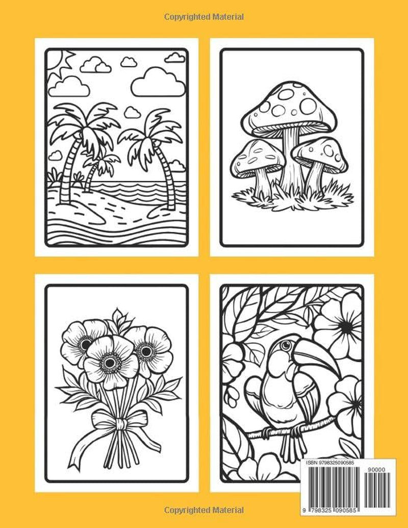 Large Print Coloring Book for Adults: Bold Lines and Easy to Color Pictures for Women, Men, Teens, Seniors, and Beginners (Simple Adult Coloring Book)