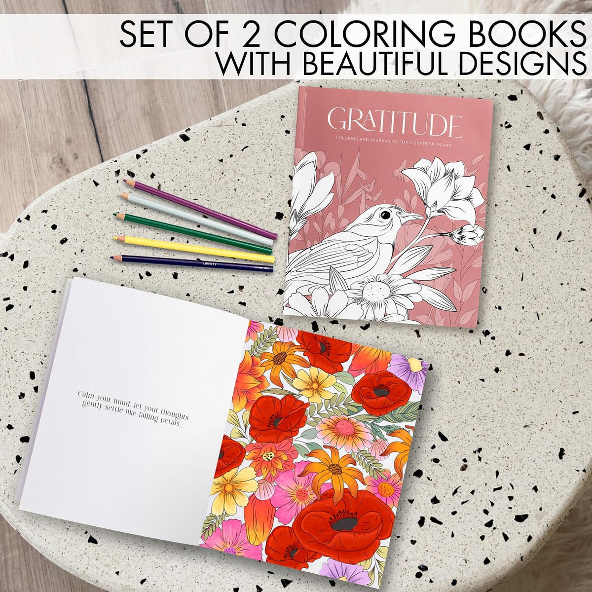 Beautiful Adult Coloring Book Set of 2 for Relaxation - Gratitude Books