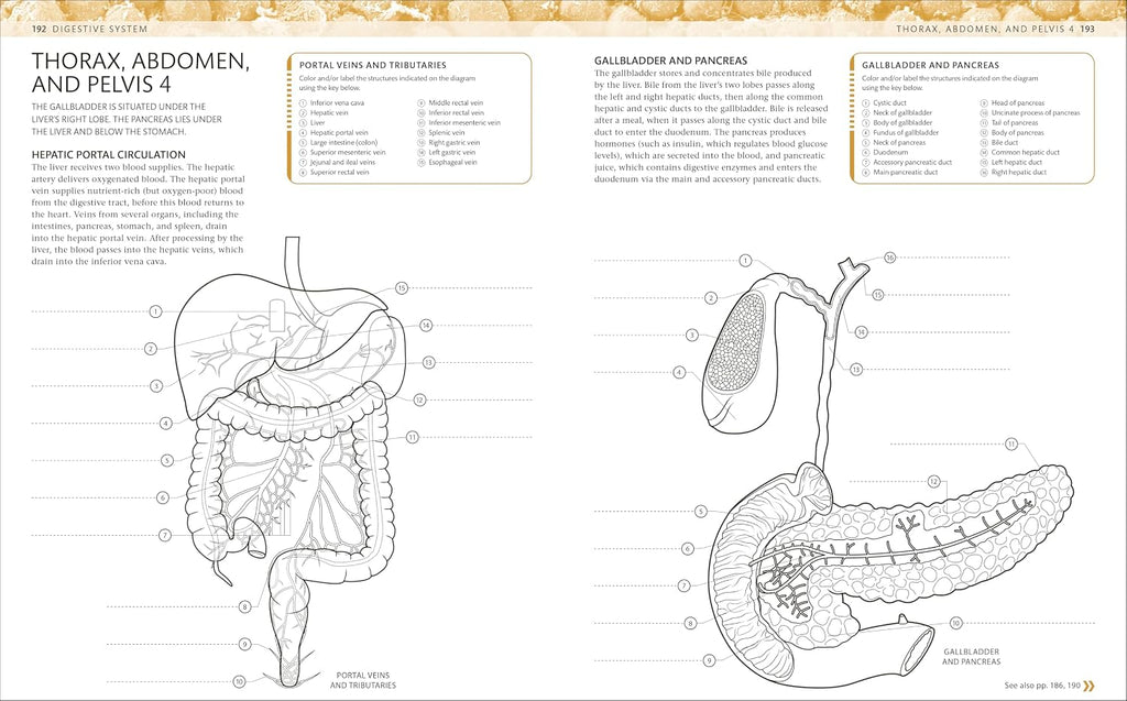 The Human Body Coloring Book: the Ultimate Anatomy Study Guide, Second Edition (DK Human Body Guides)