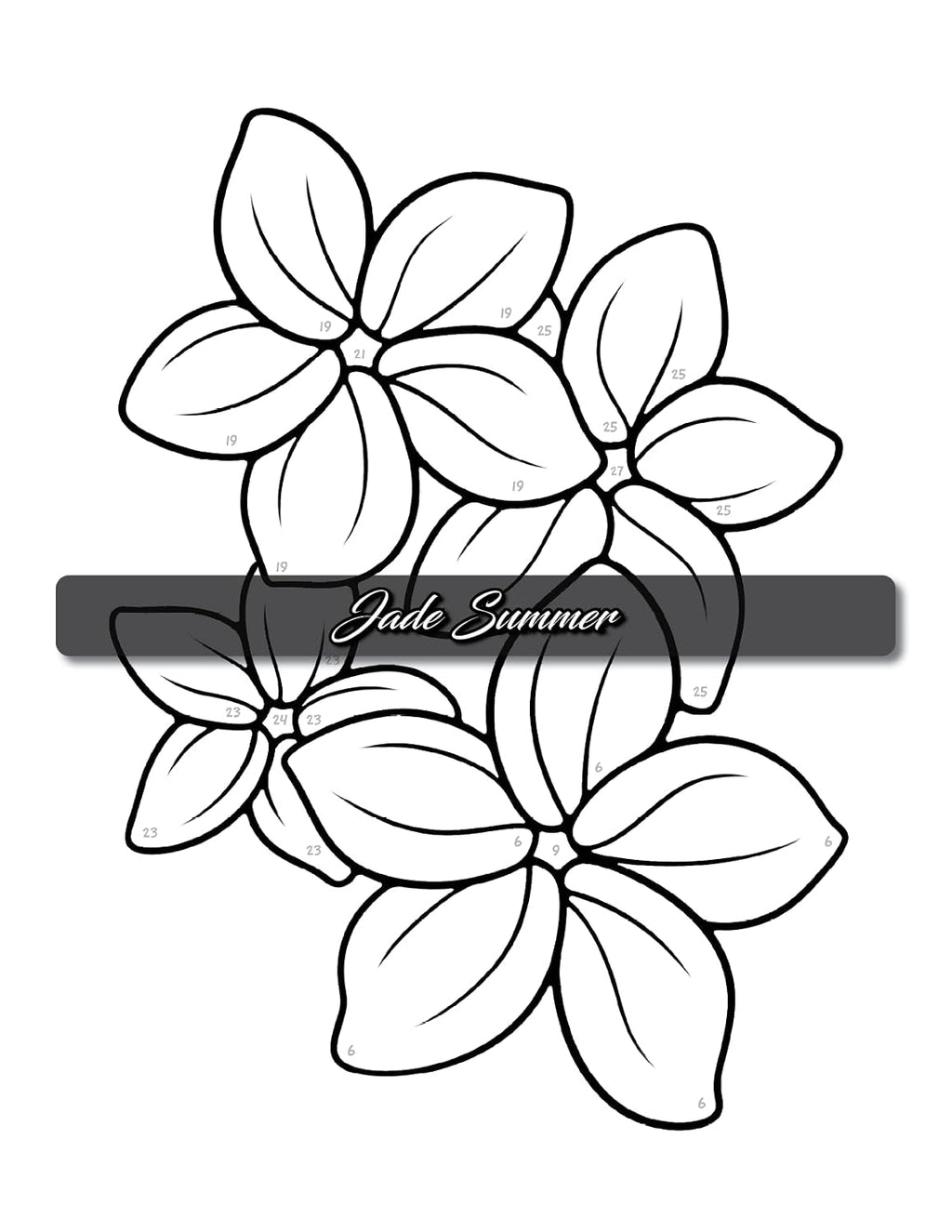Simple Color by Number: a Coloring Book with Easy, Bold, and Large Print Designs for Adults, Teens, Seniors, and Beginners