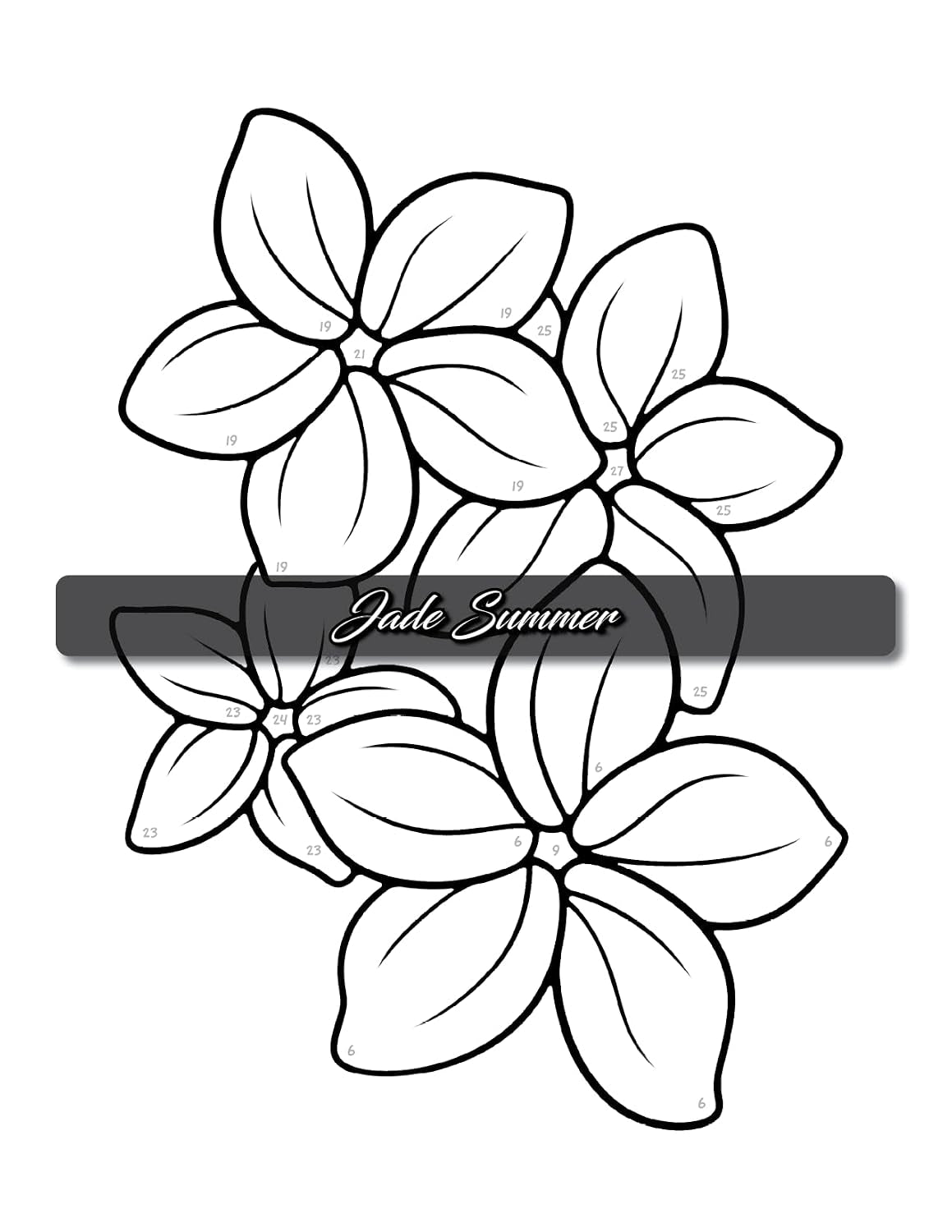 Simple Color by Number: a Coloring Book with Easy, Bold, and Large Print Designs for Adults, Teens, Seniors, and Beginners