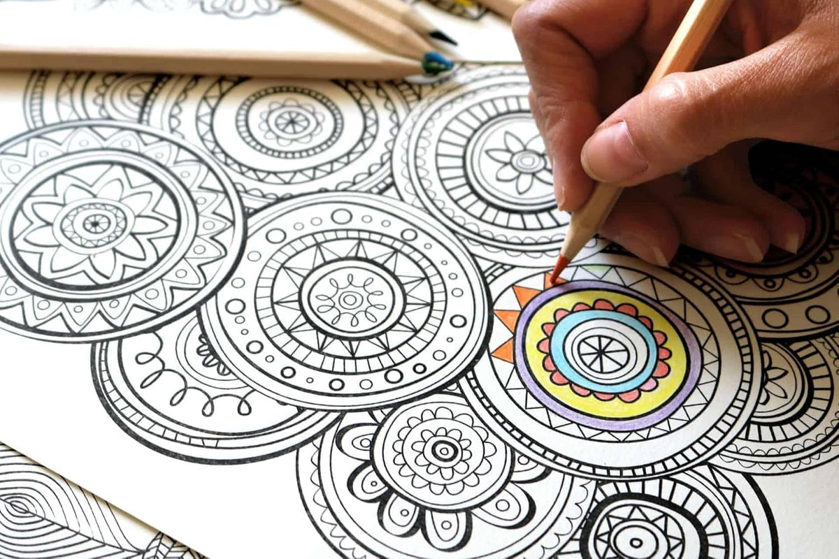 ™ 12 Pack Adult Coloring Book Super Set - Bundle with 12 Adult Coloring Books for Women, Men Featuring Mandalas and More | Advanced Coloring Books Bulk