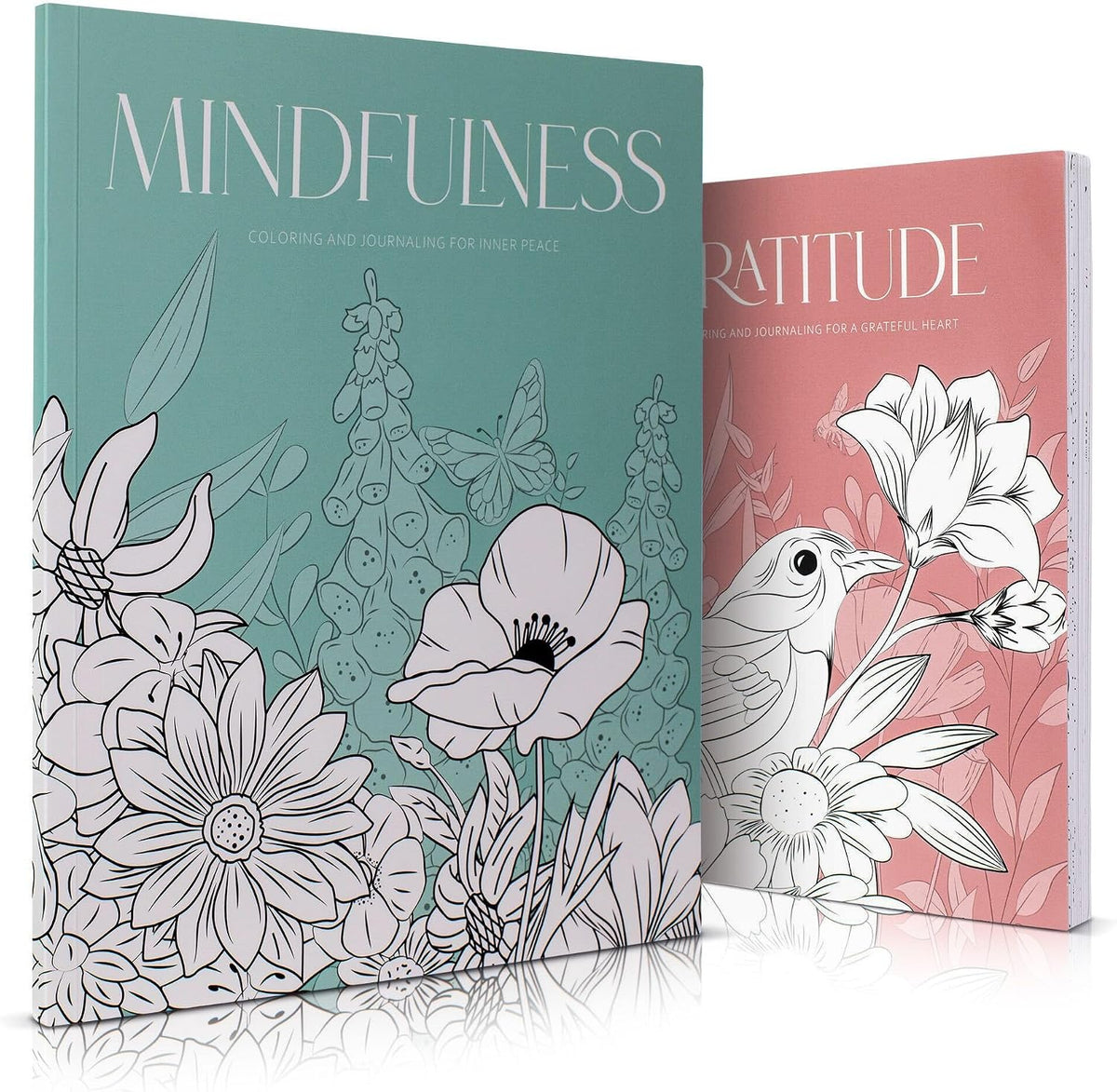 Beautiful Adult Coloring Book Set of 2 for Relaxation - Gratitude Books