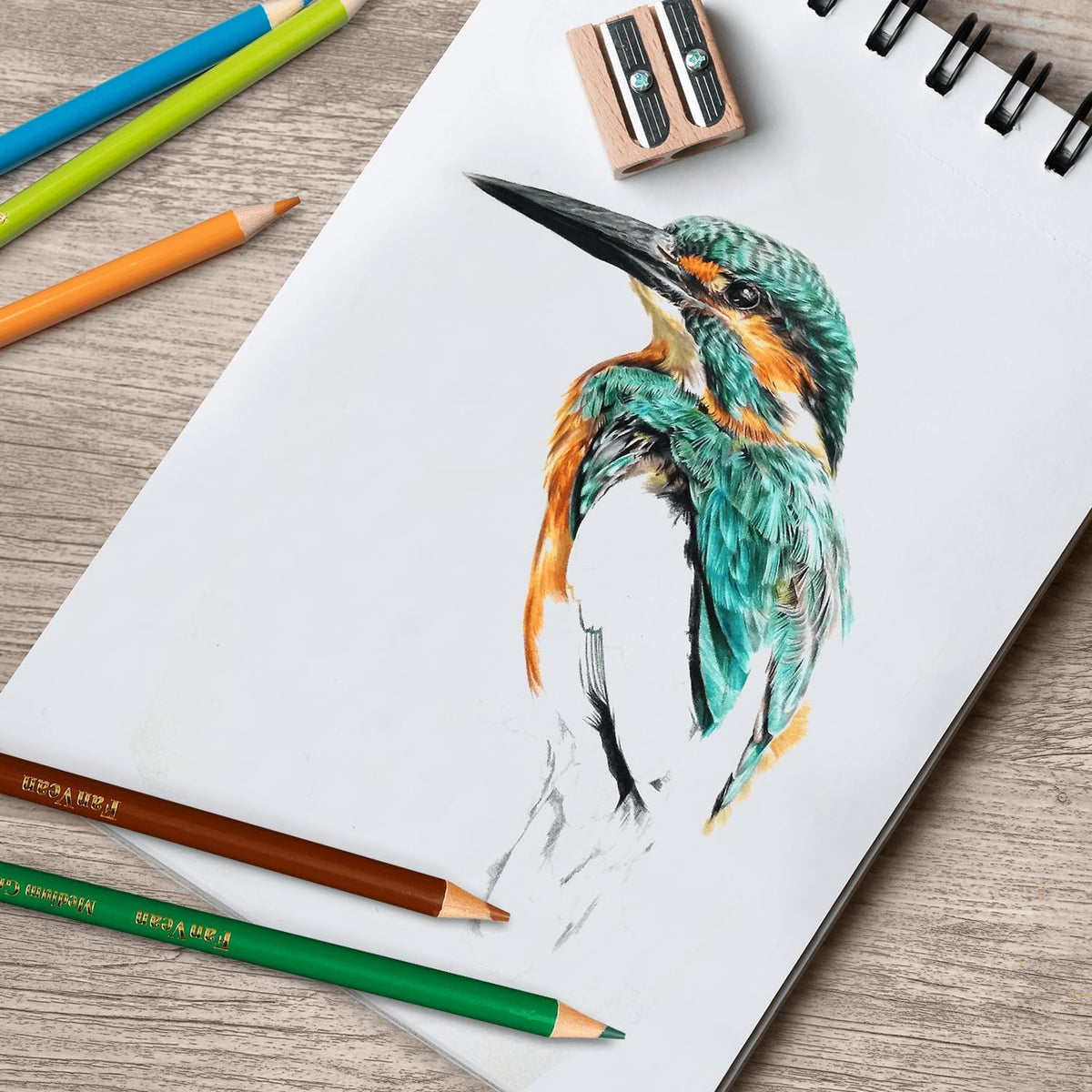 Colored Pencils for Adult Coloring Book 50 Count Color Pencil Set