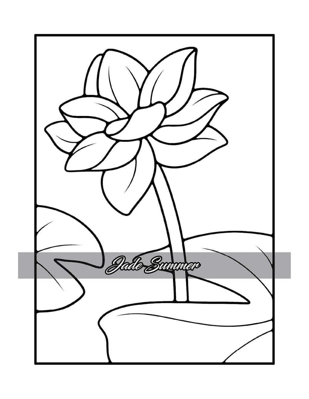 Simple Coloring Book: Easy, Bold, and Large Print Designs for Adults, Teens, Seniors, and Beginners (Easy Coloring Books)