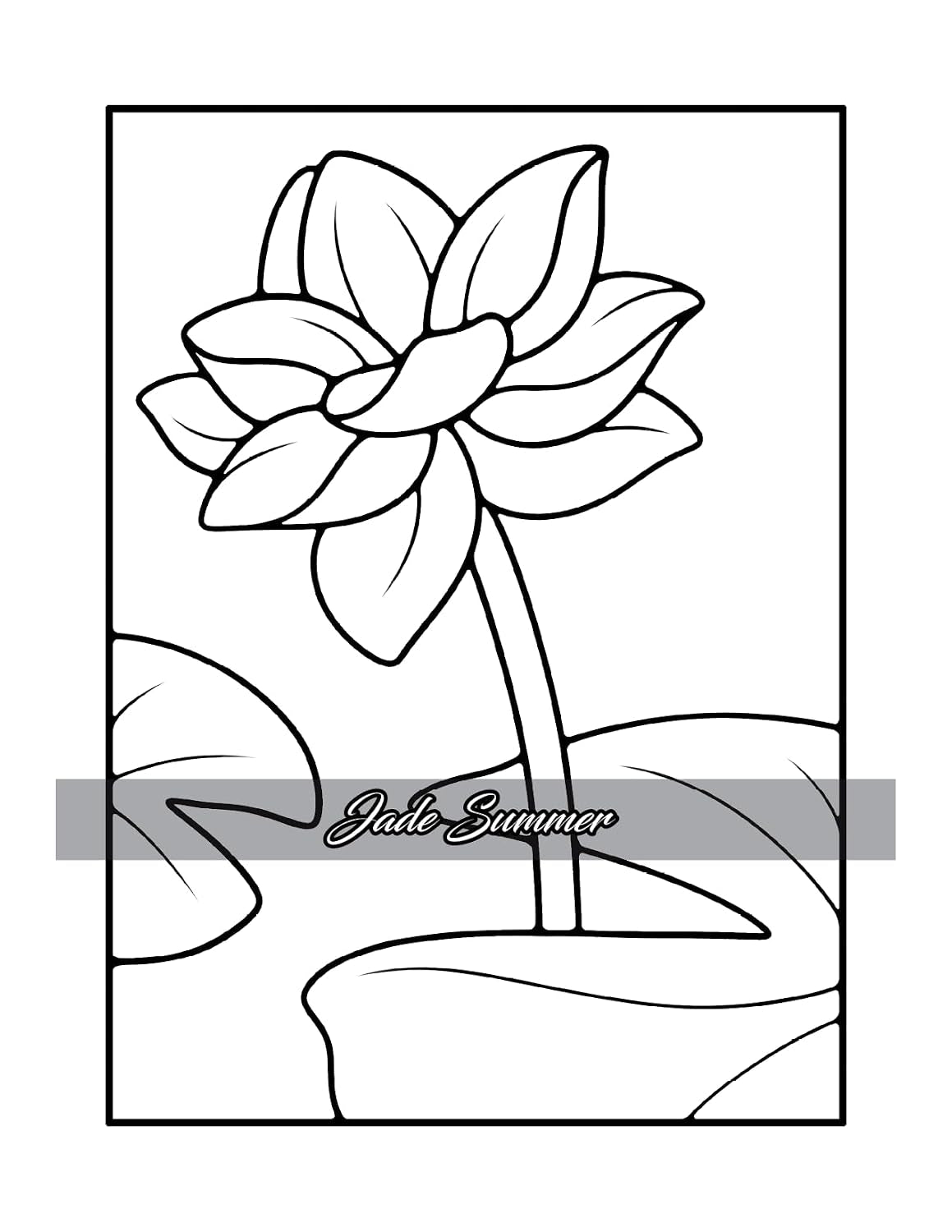Simple Coloring Book: Easy, Bold, and Large Print Designs for Adults, Teens, Seniors, and Beginners (Easy Coloring Books)