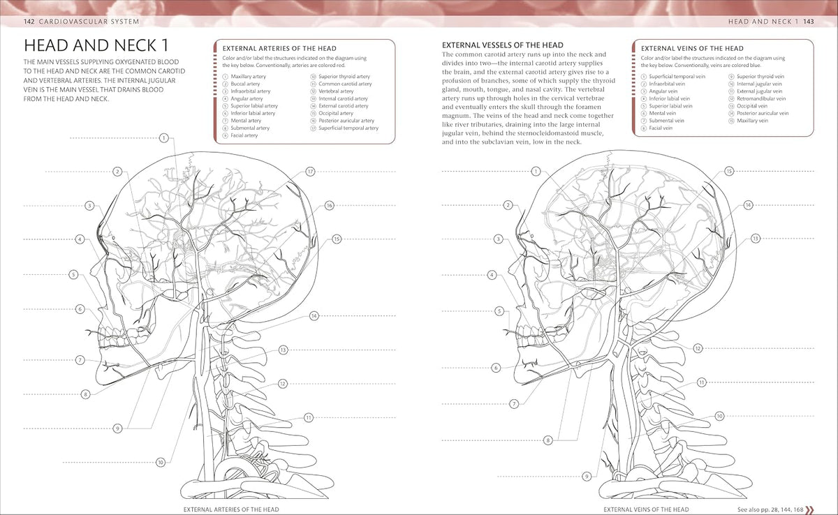 The Human Body Coloring Book: the Ultimate Anatomy Study Guide, Second Edition (DK Human Body Guides)