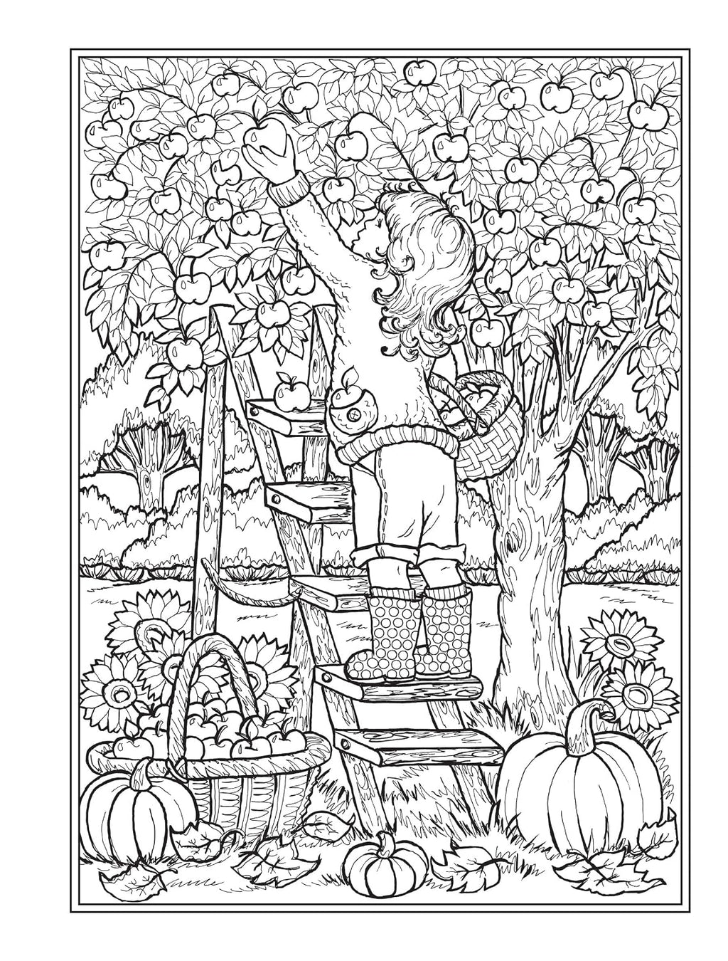 Creative Haven Autumn Harvest Coloring Book (Adult Coloring Books: Seasons)