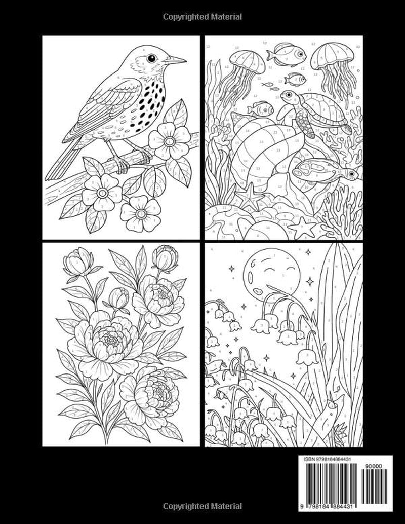 100 New Pages Color by Number Adult Coloring Book: Large Print Color by Number Adult Coloring Book with Birds, Butterflies, Flowers, Animals & Seasonal Designs for Relaxation