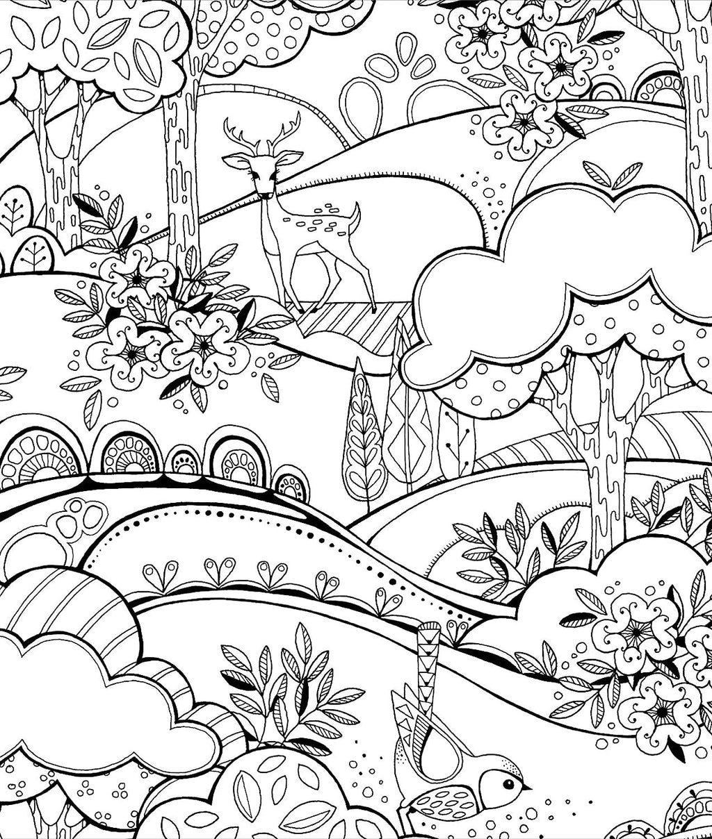 Color & Frame - in the Forest (Adult Coloring Book)