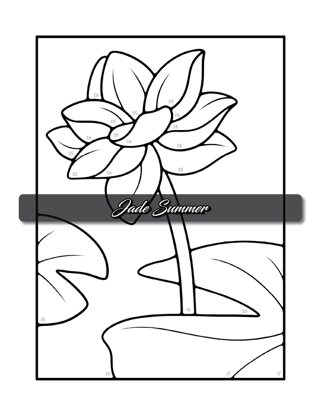 Simple Color by Number: a Coloring Book with Easy, Bold, and Large Print Designs for Adults, Teens, Seniors, and Beginners