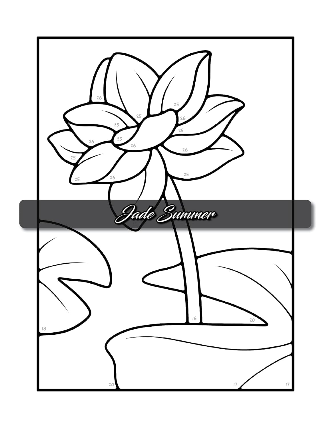 Simple Color by Number: a Coloring Book with Easy, Bold, and Large Print Designs for Adults, Teens, Seniors, and Beginners